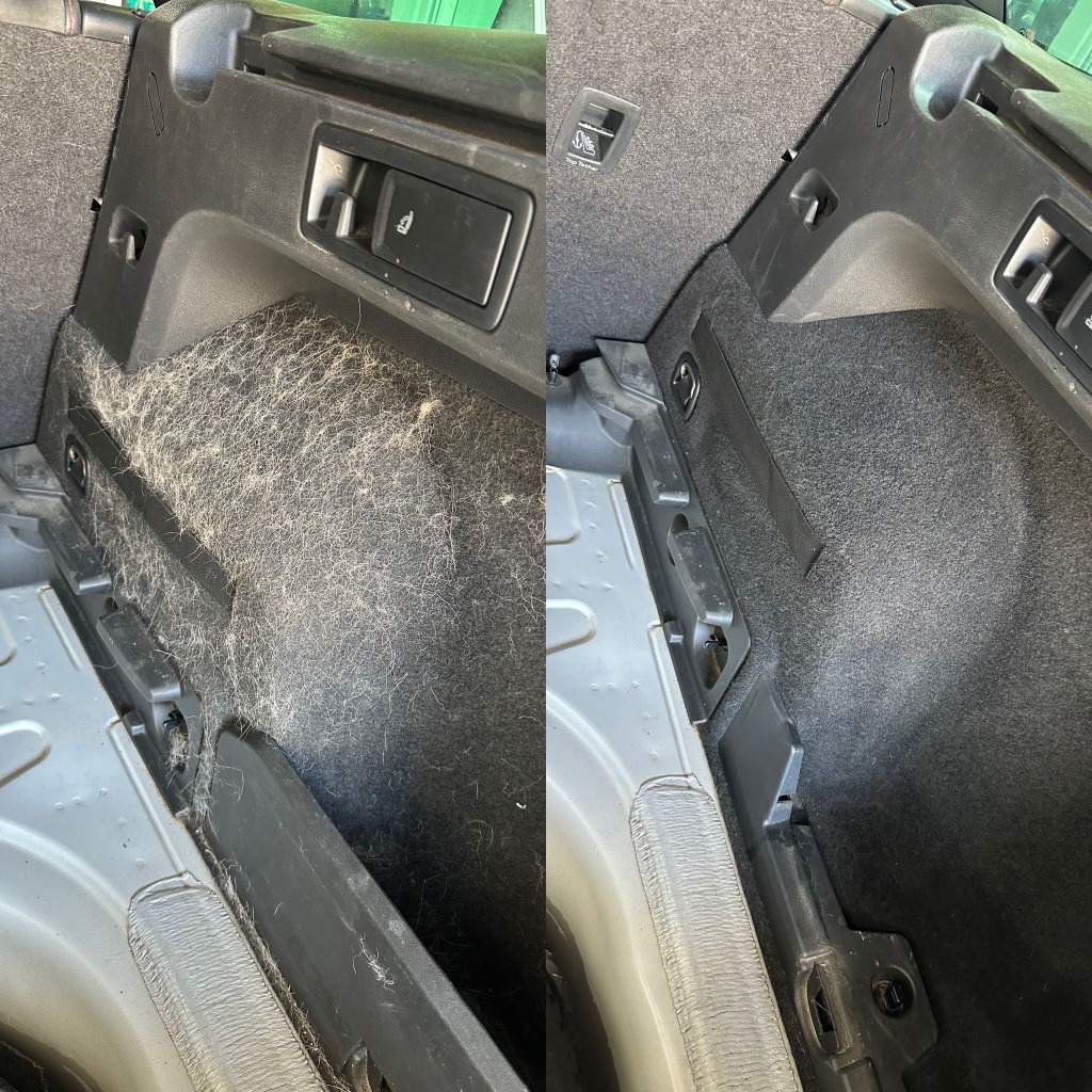 Eliminación de pelos de perro antes y después